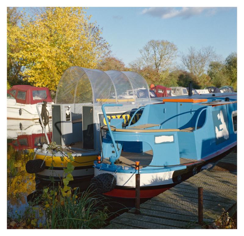 Two narrowboats moored in a marina, with trees behind bearing yellow, autumn leaves.
