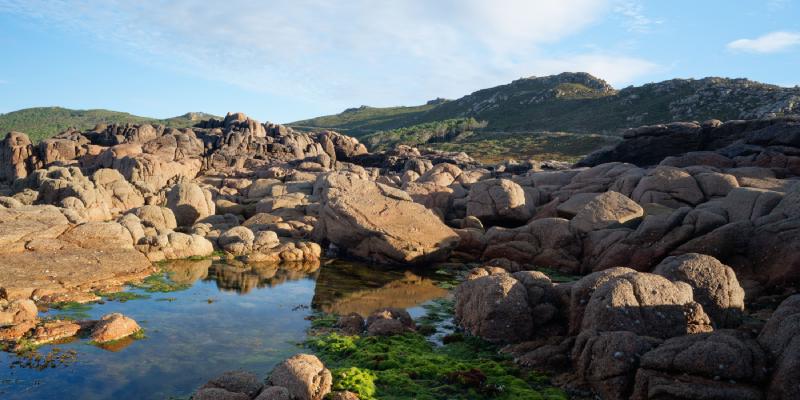 Two narrowboats moored in a marina, with trees behind bearing yellow, autumn leaves.