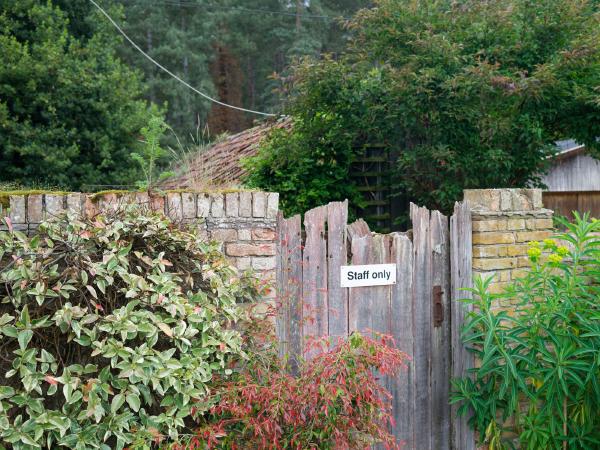 Framed: The Zeiss Loxia 35mm F2